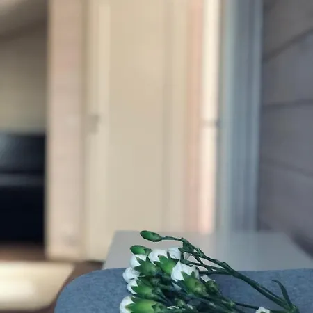 Yllaes Fell Apartment *